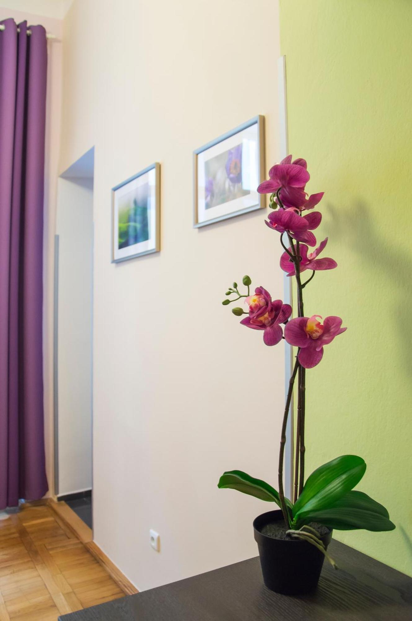 Apartment Jindrisska 25 براغ المظهر الخارجي الصورة